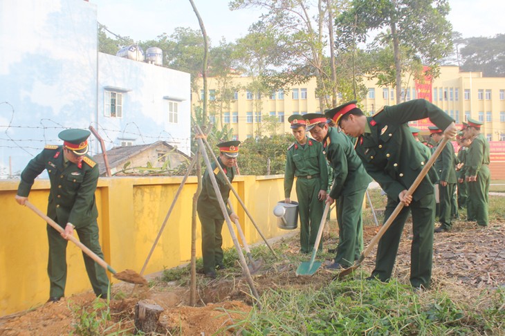 Tree planting festivals launched nationwide  - ảnh 2